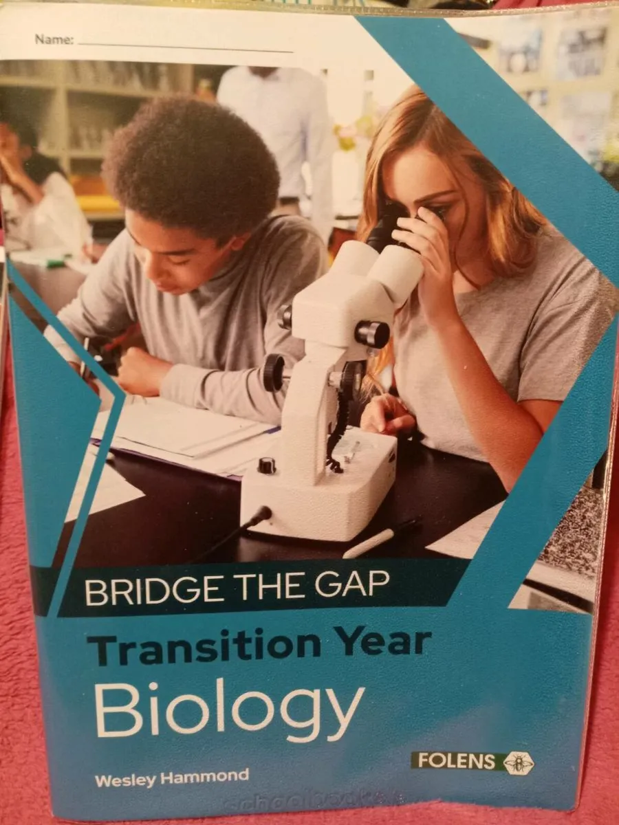 TY School Books - Bridge the Gap - Image 4