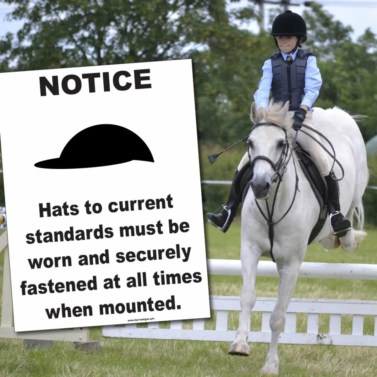 Signage for Stables, Stud Farms & All Equestrian - Image 3