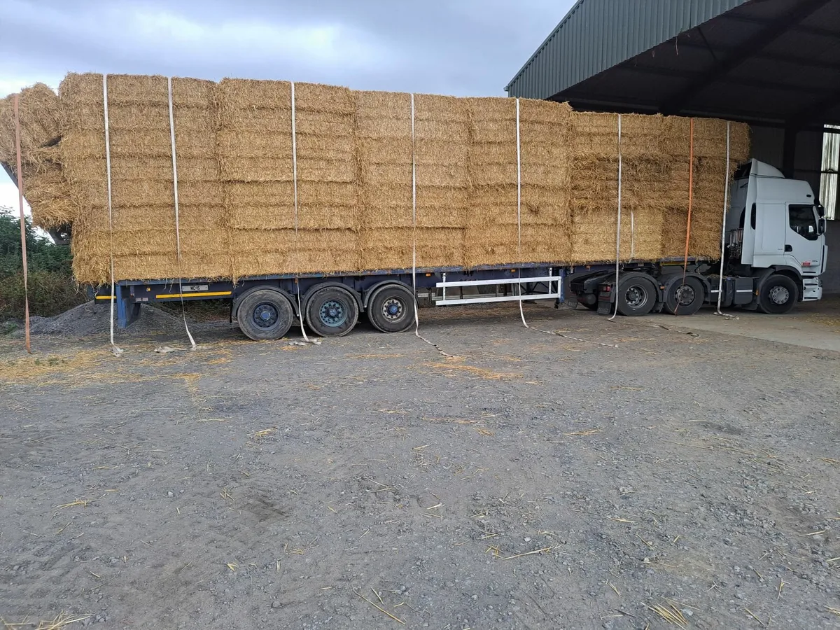 For sale golden barley straw ex yard or delivered - Image 2