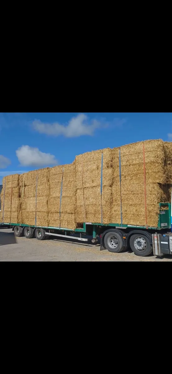 Barley, wheaten and oaten straw - Image 3