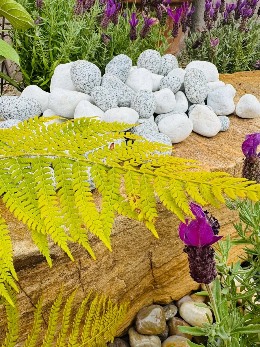 Plum slate Boulders & Rocks Pebbles Cobbles Chips - Image 3