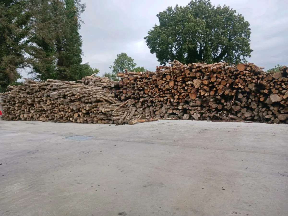 Seasoned hardwood firewood - Image 4