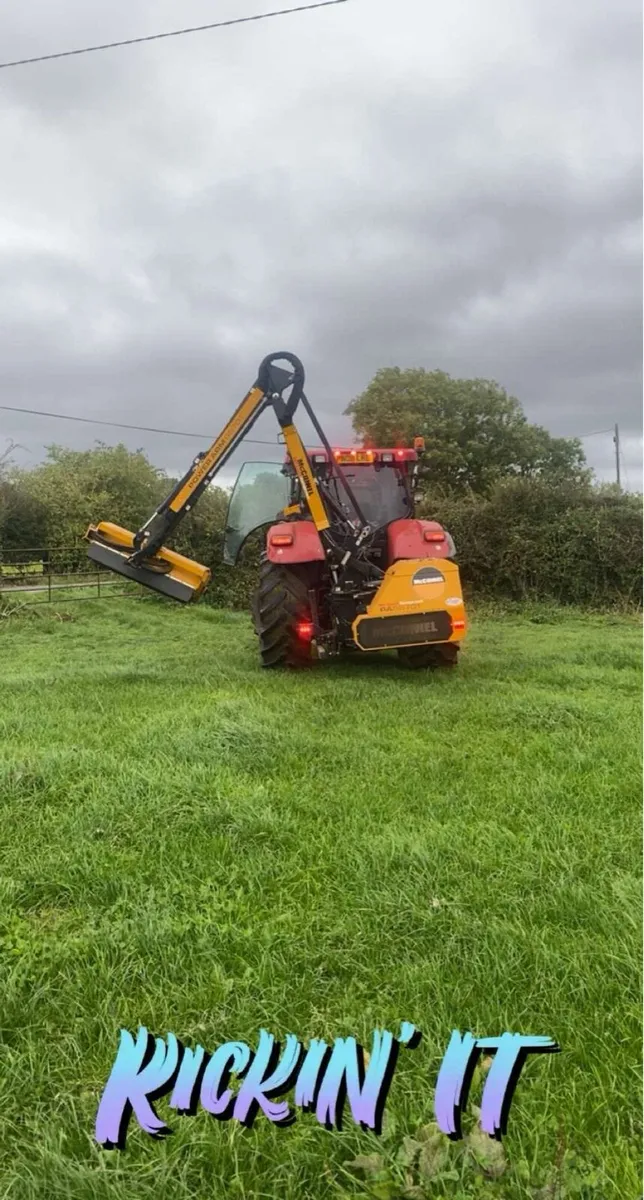 Hedge cutting service - Image 1