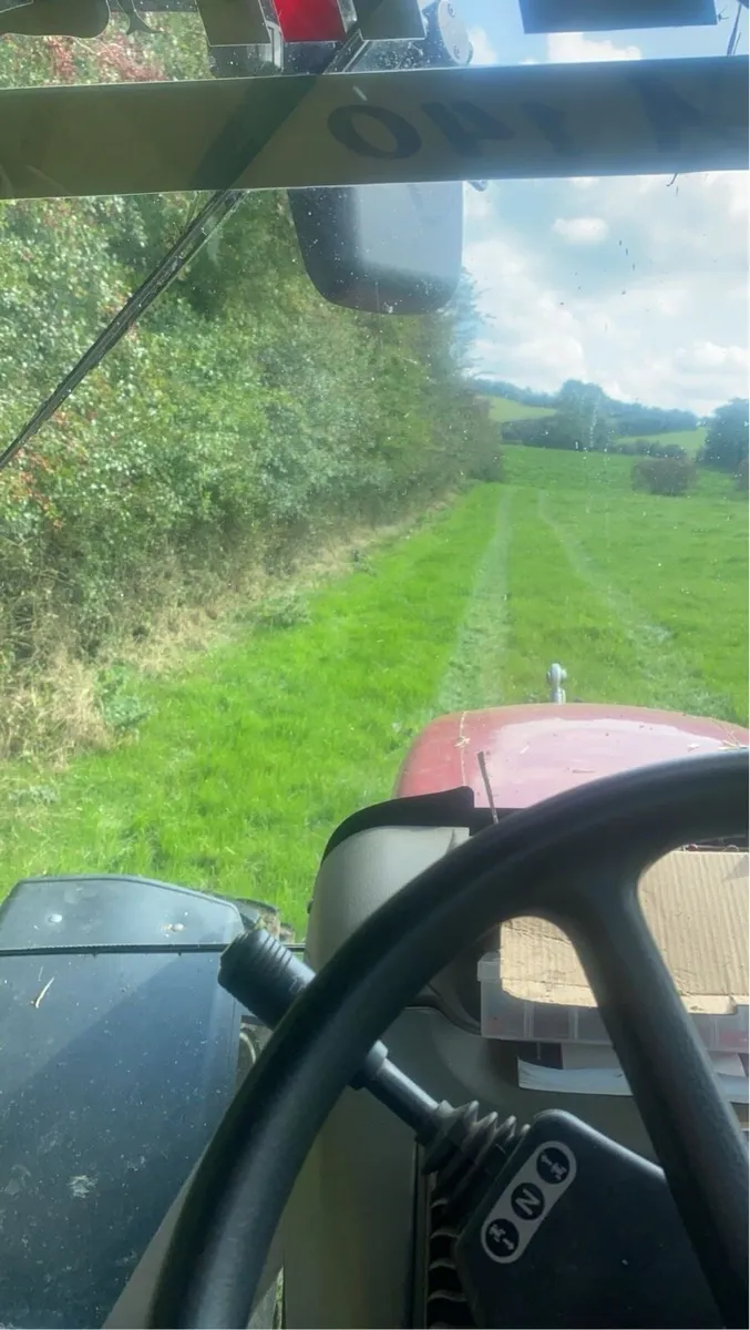 Hedge cutting service - Image 3