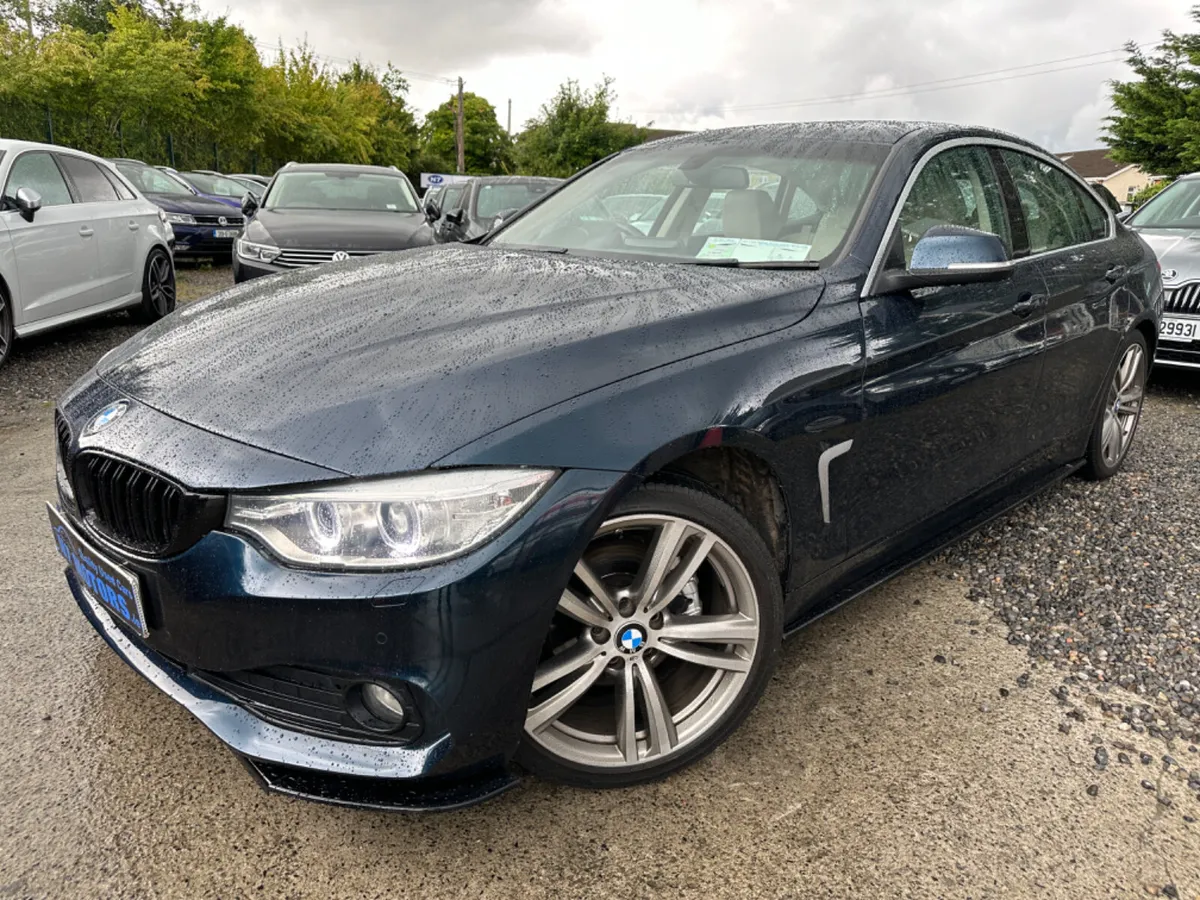 2015 BMW 4 Series 420D SE - Image 2