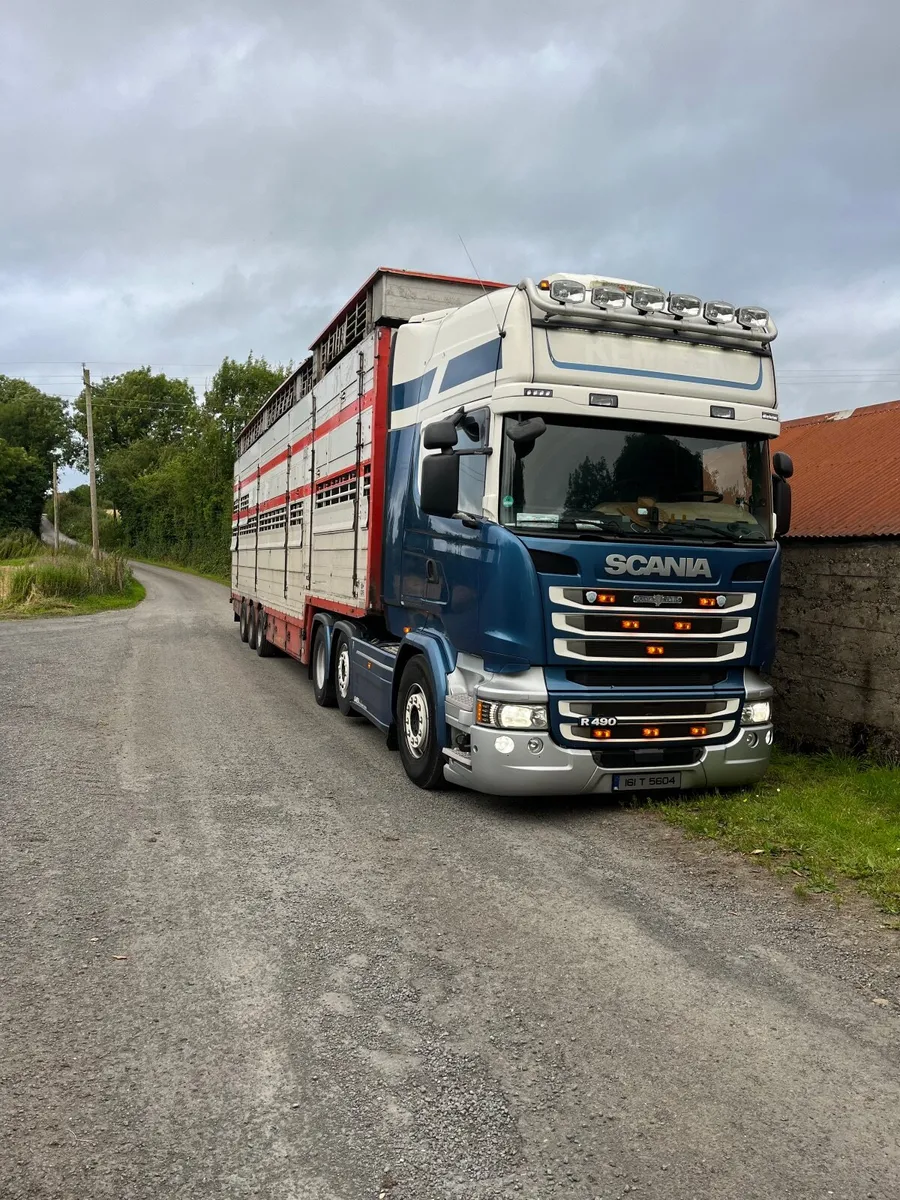 Abbott Livestock transport. - Image 2