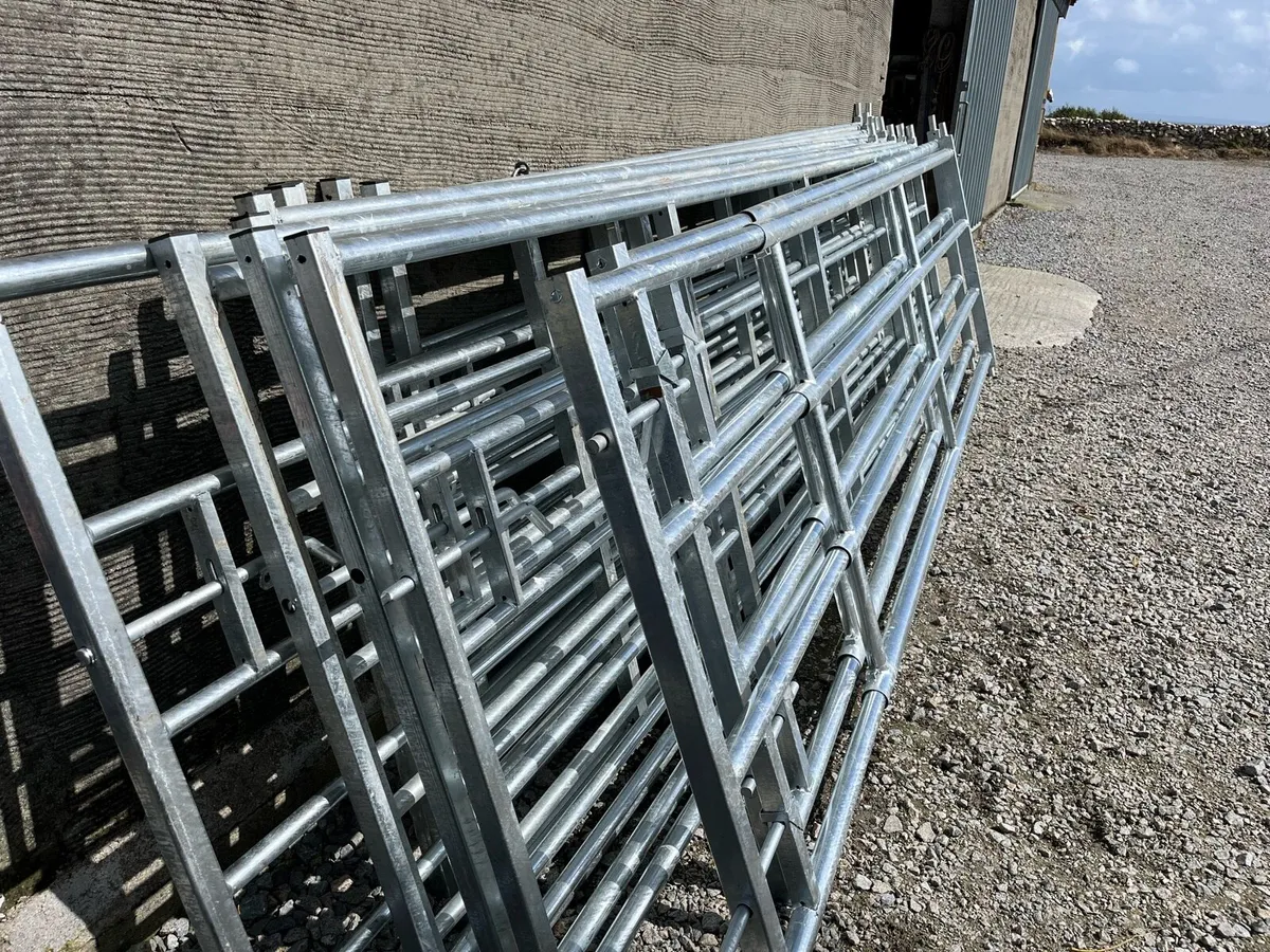 Extendable, gates and barriers 10% discount - Image 4