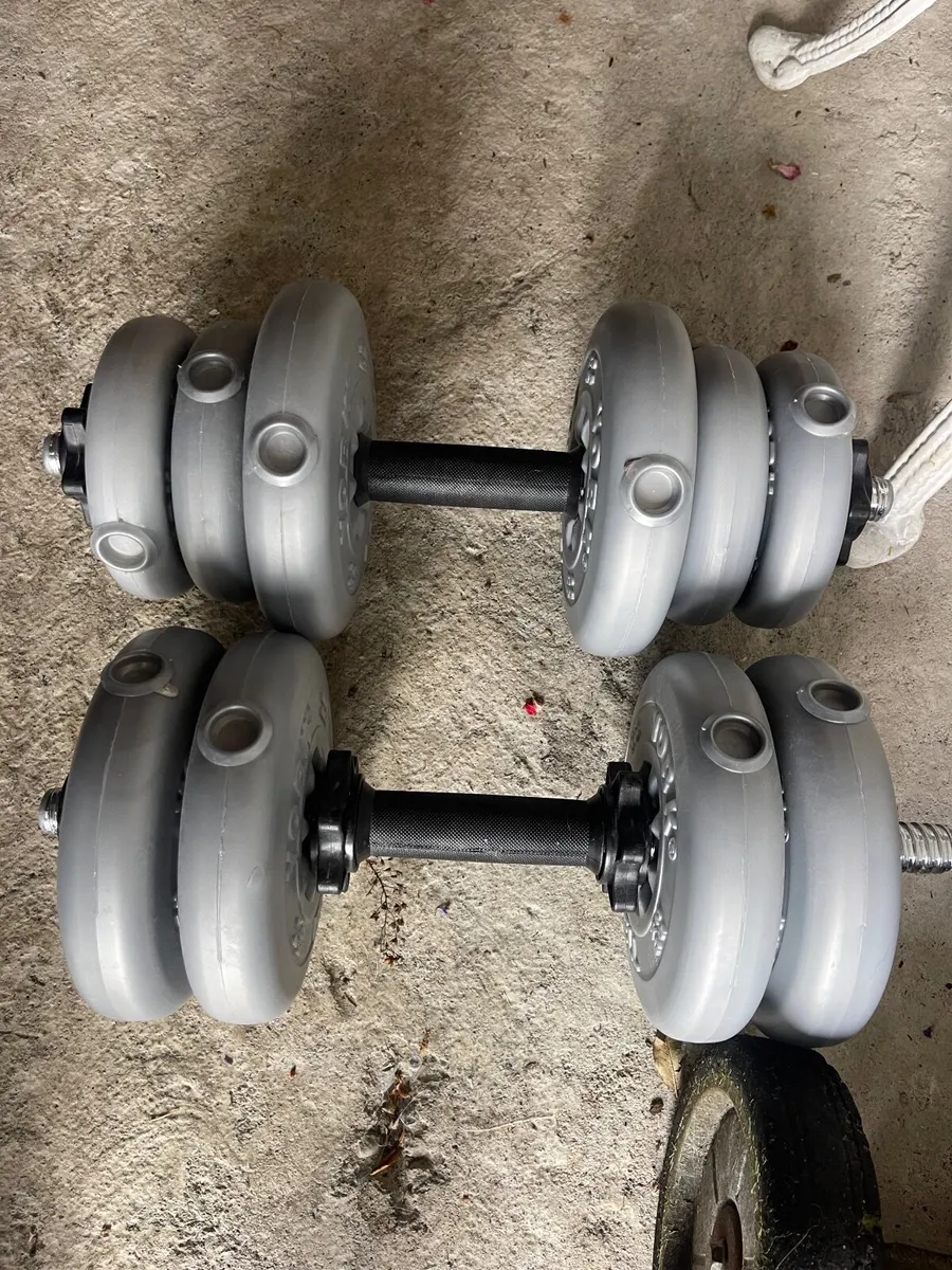 Dumbbell and Barbell set for sale in Co. Wicklow for 100 on DoneDeal