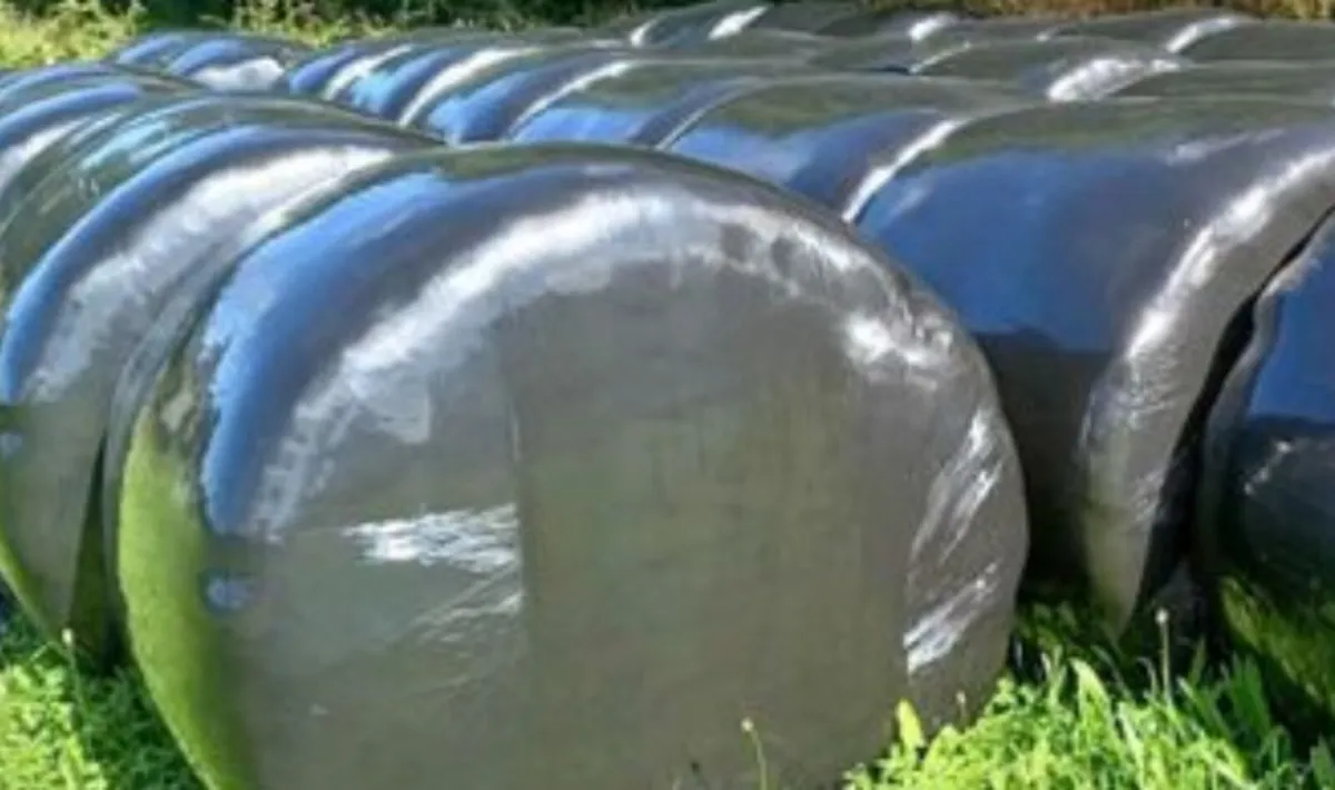 Silage