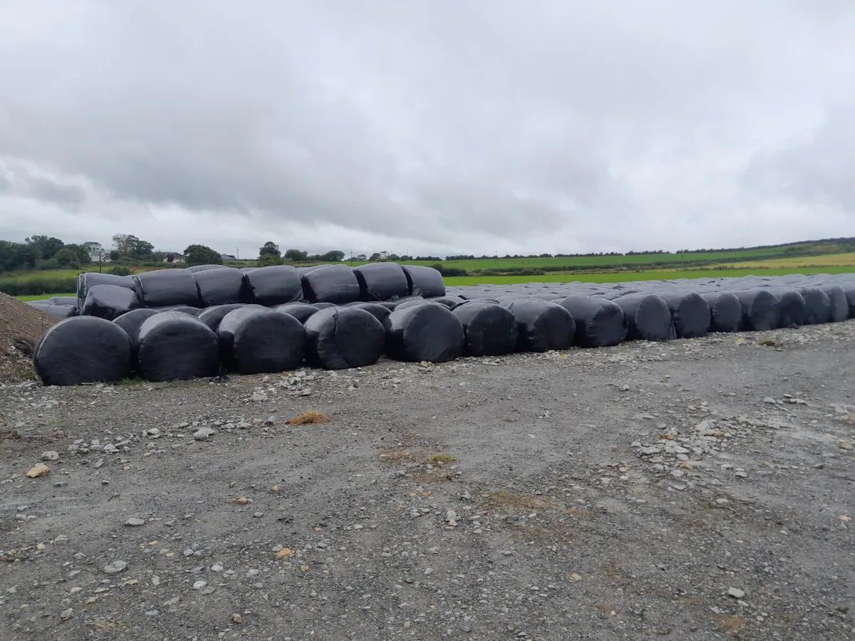 Silage bales for Sale - Image 2