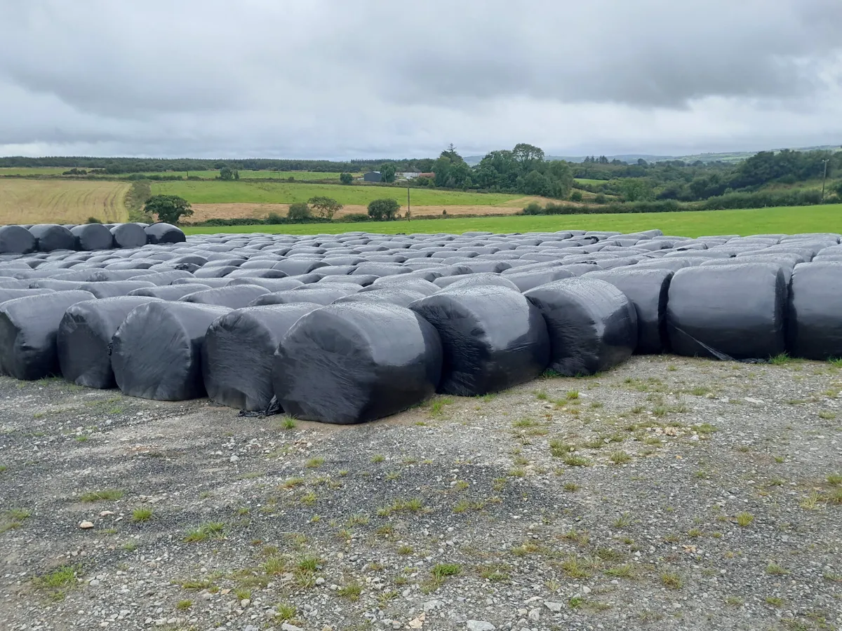 Silage bales for Sale - Image 3