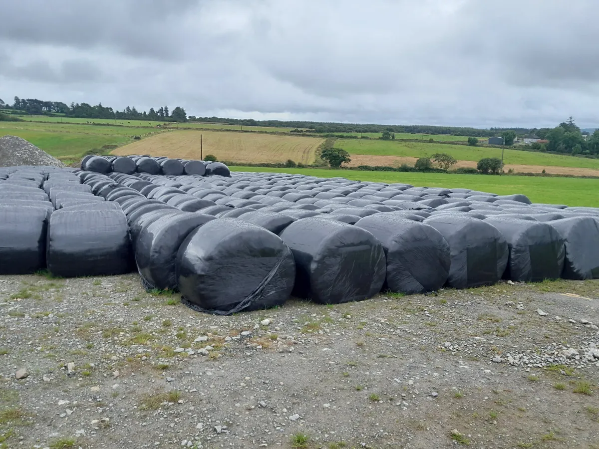 Silage bales for Sale - Image 1