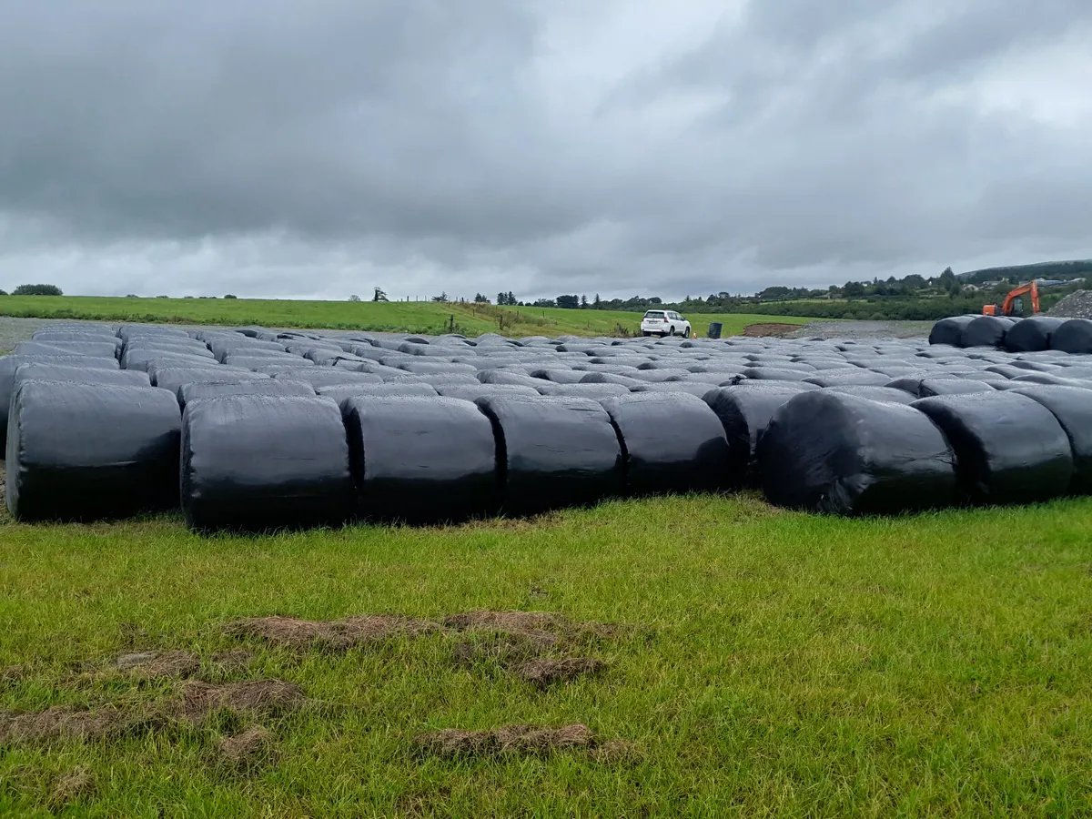 Silage bales for Sale - Image 4