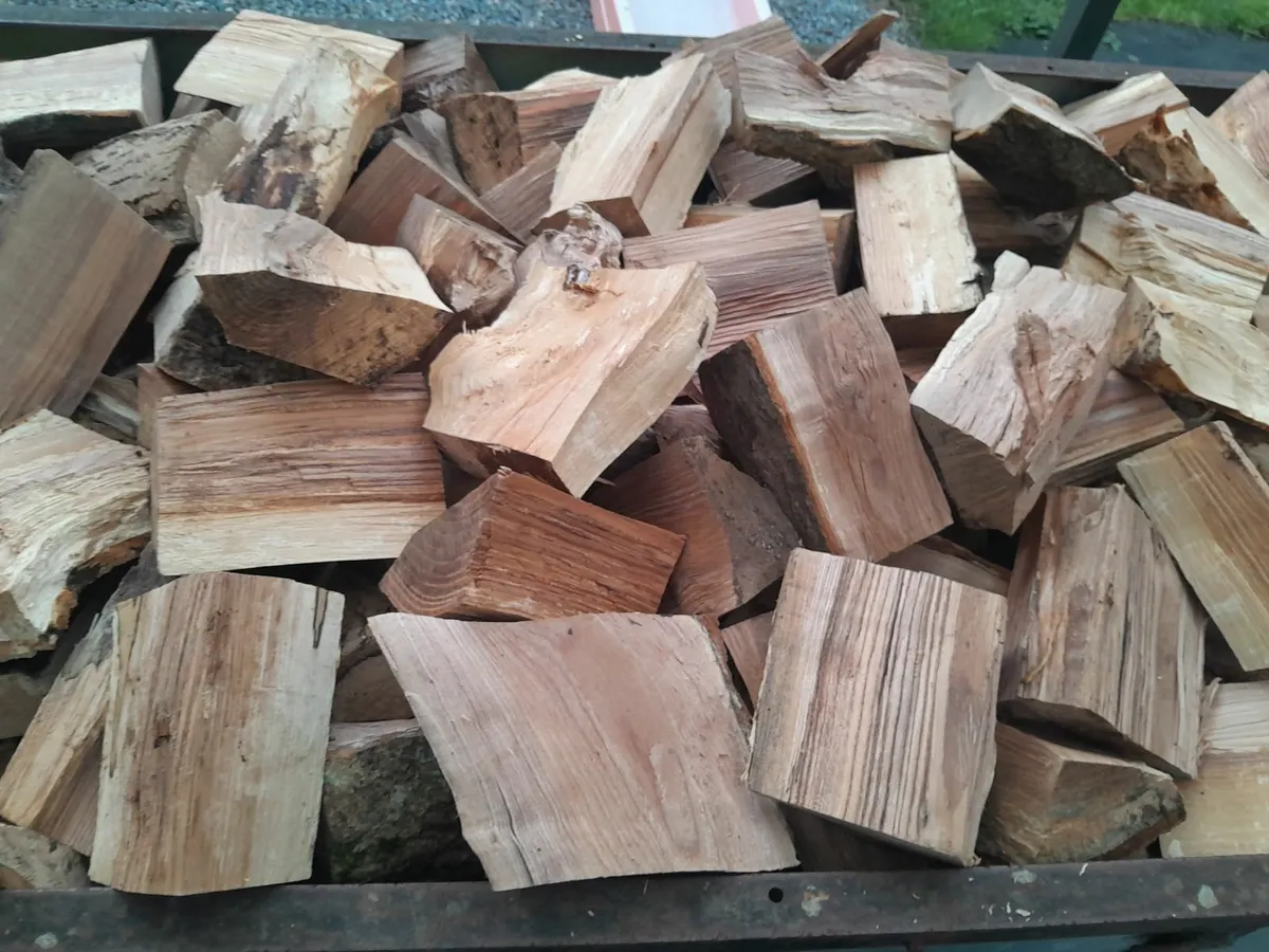 Firewood - Image 1