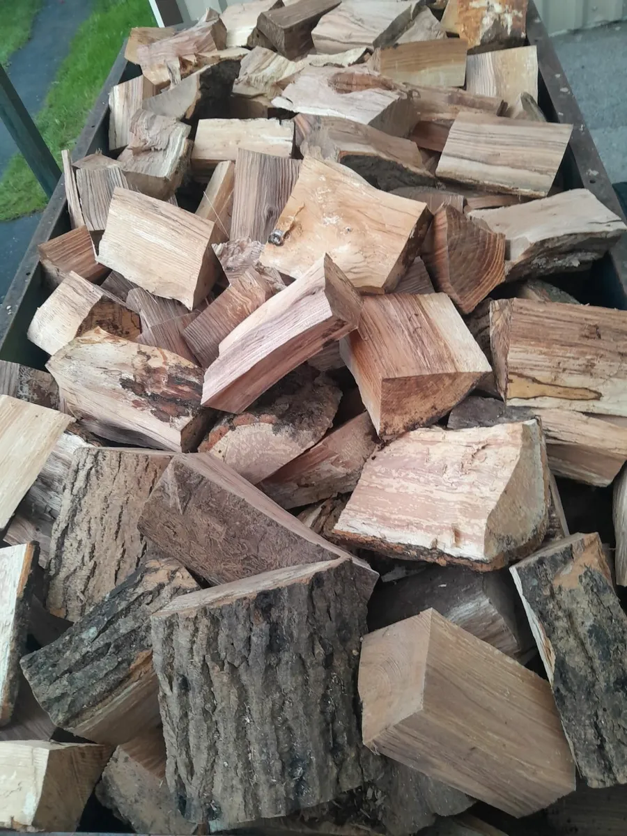 Firewood - Image 2
