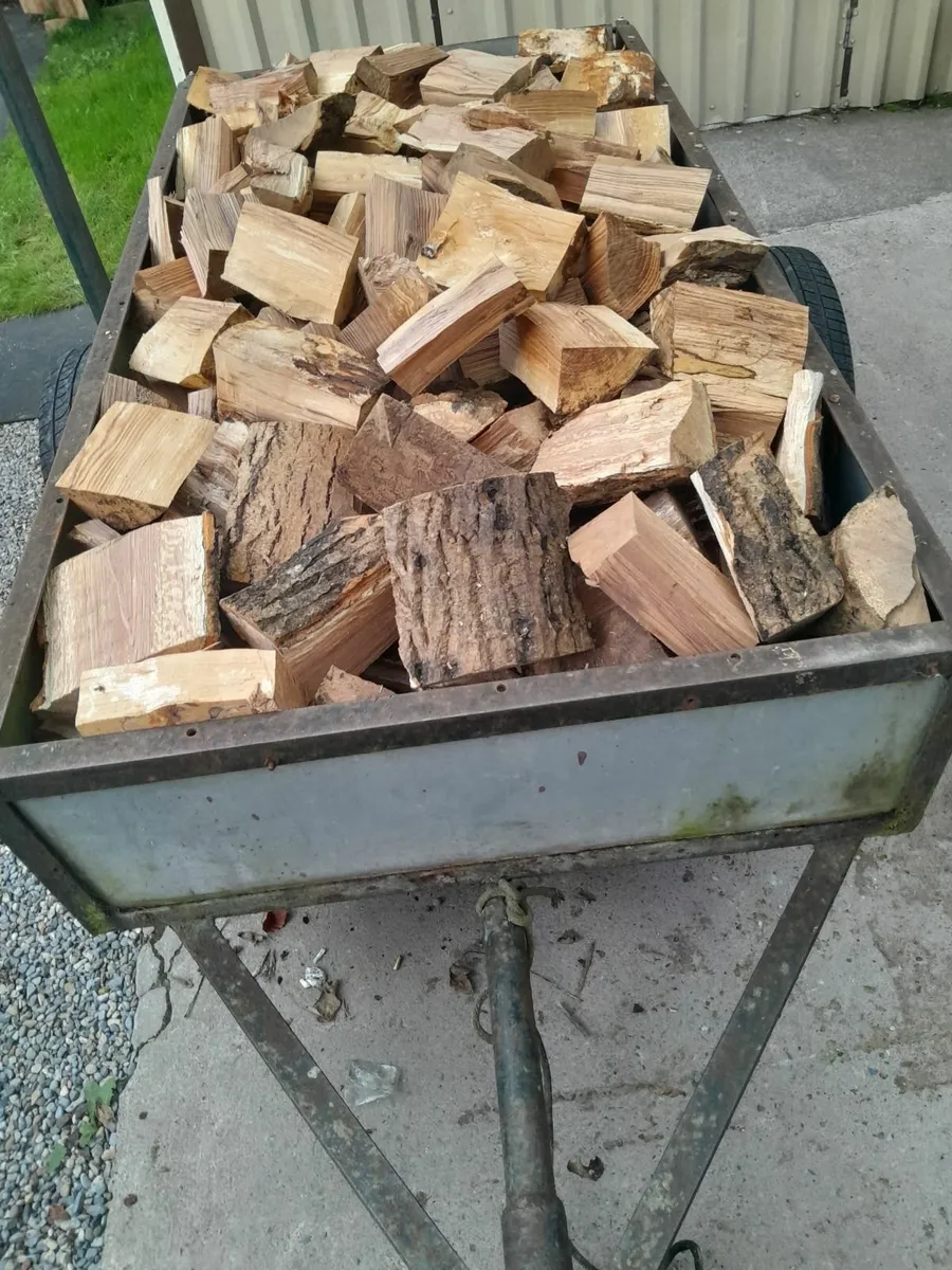 Firewood - Image 3