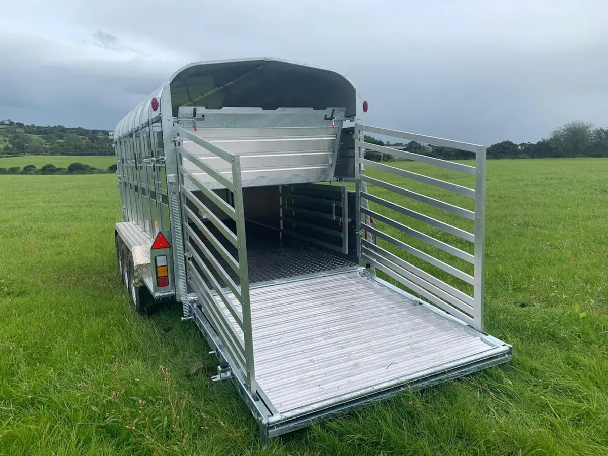 Nugent Sheep Trailer - Image 4