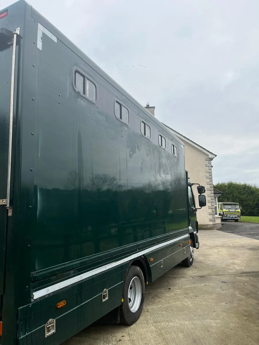 Daf lf horse box - Image 3