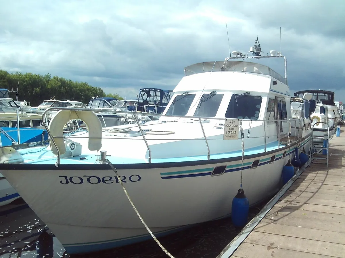 MORREL 43' Reduced - Image 2