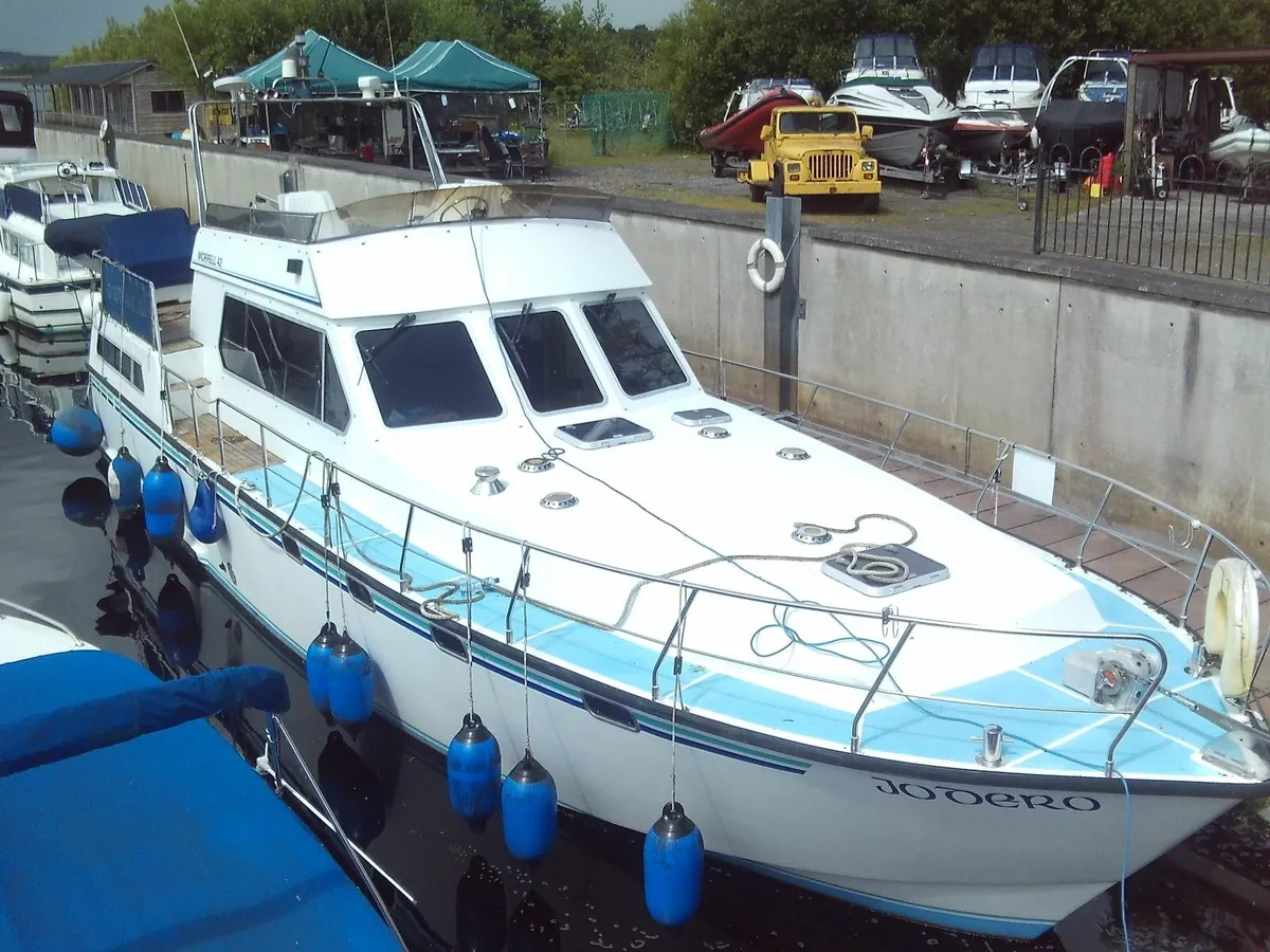 MORREL 43' Reduced - Image 3