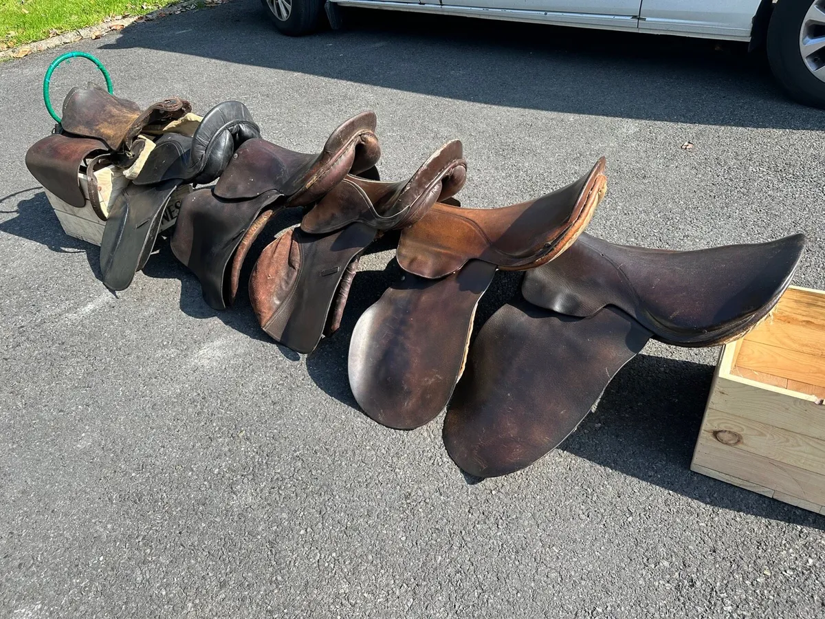 Parcel of Equestrian Tack for sale in Co. Westmeath for €399 on DoneDeal