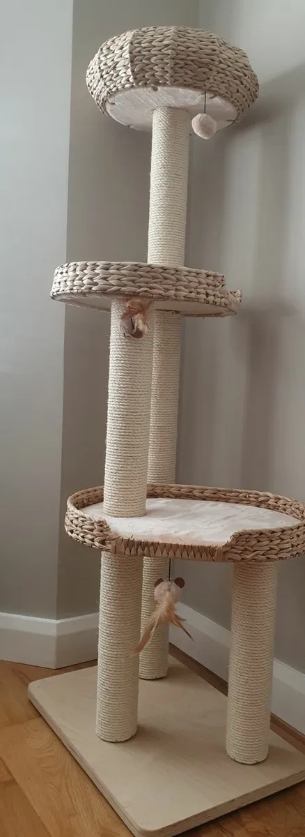 Used cat tree for sale sales