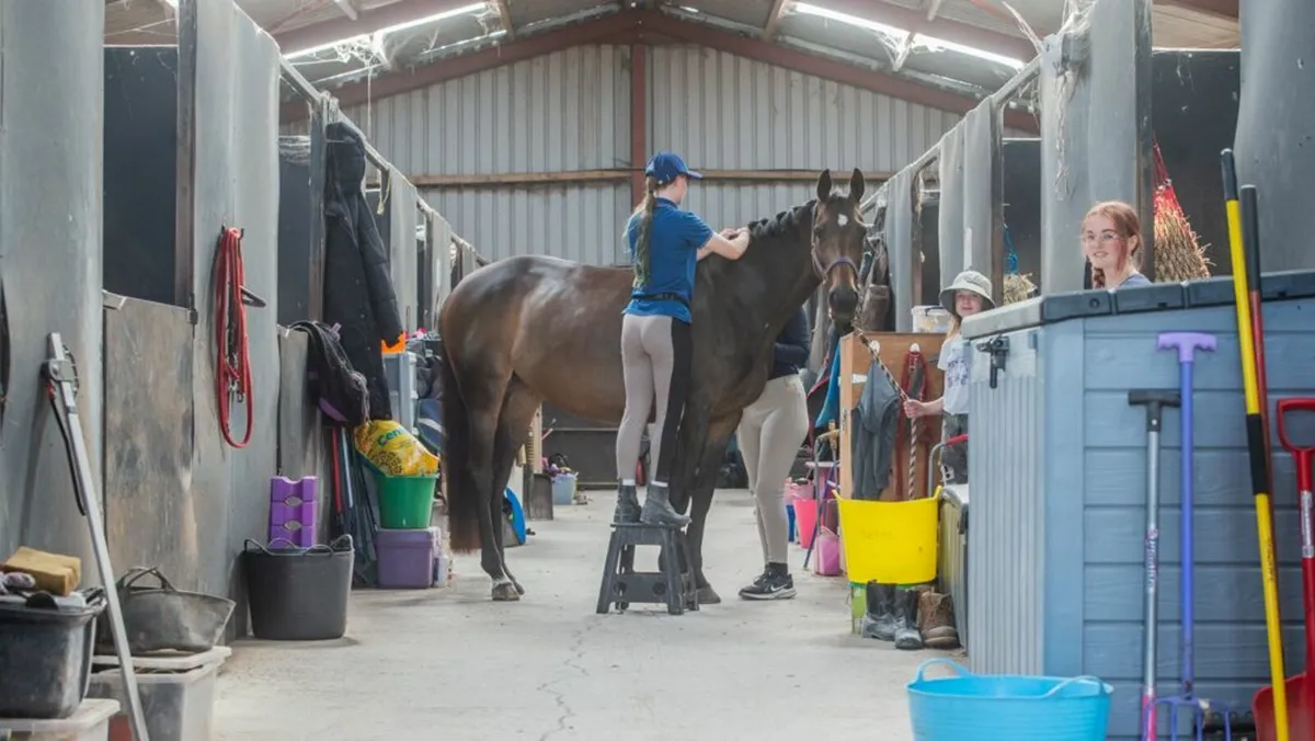 Livery @ Sycamore Hill Stables, Midleton - Image 1