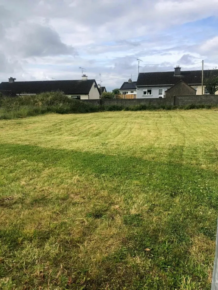 Rí King James' Gibbstown estate caravan 4 rent. - Image 3