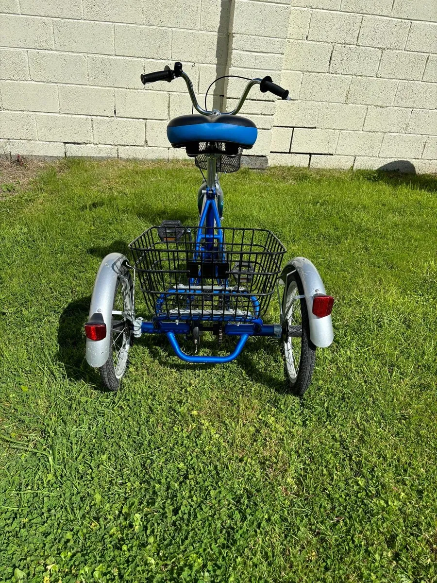 Tricycle for sale age 14 - Image 1