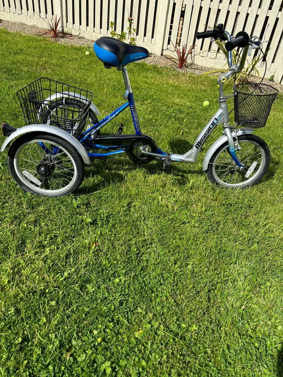 Tricycle for sale age 12 - Image 2