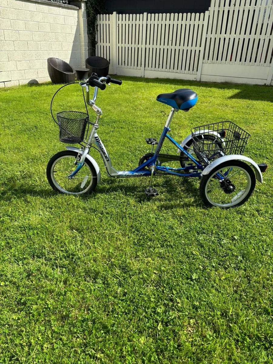 Tricycle for sale age 12 - Image 4