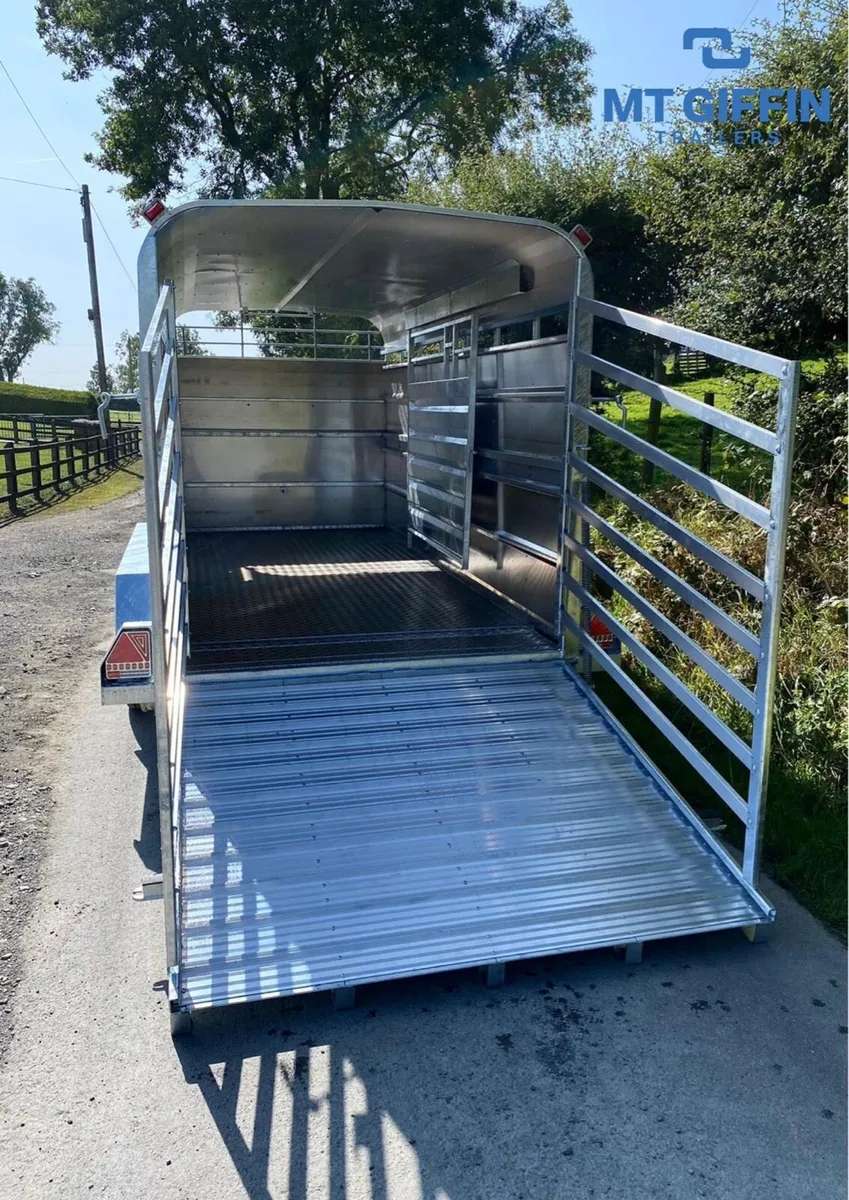 New Tuffmac (14x6) Livestock Trailer M.T GIFFIN - Image 4