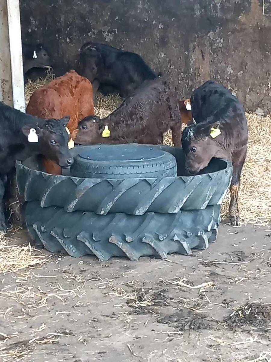 Cattle/ horse / Fully Rubber feeding troughs - Image 1