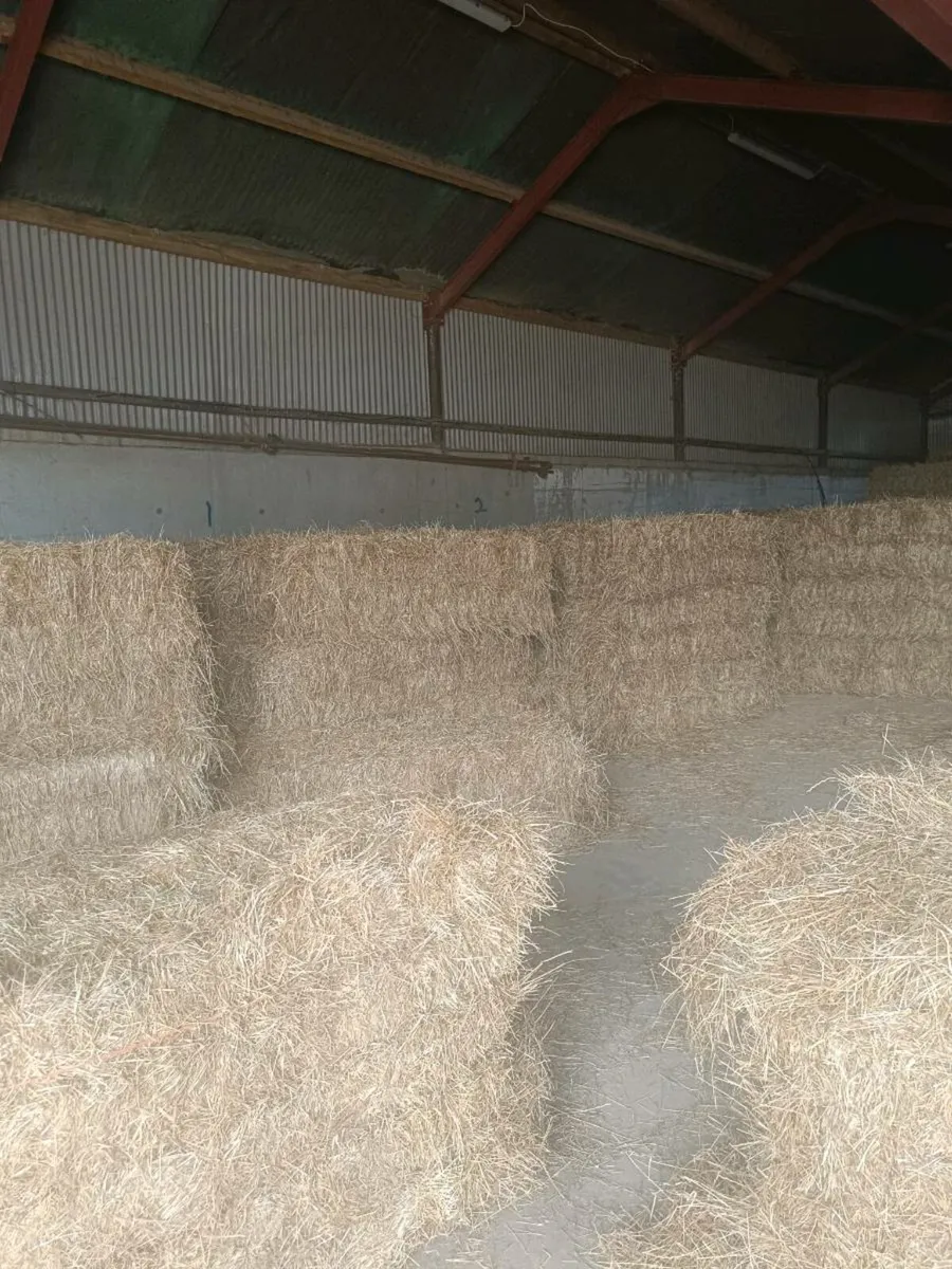 Hay