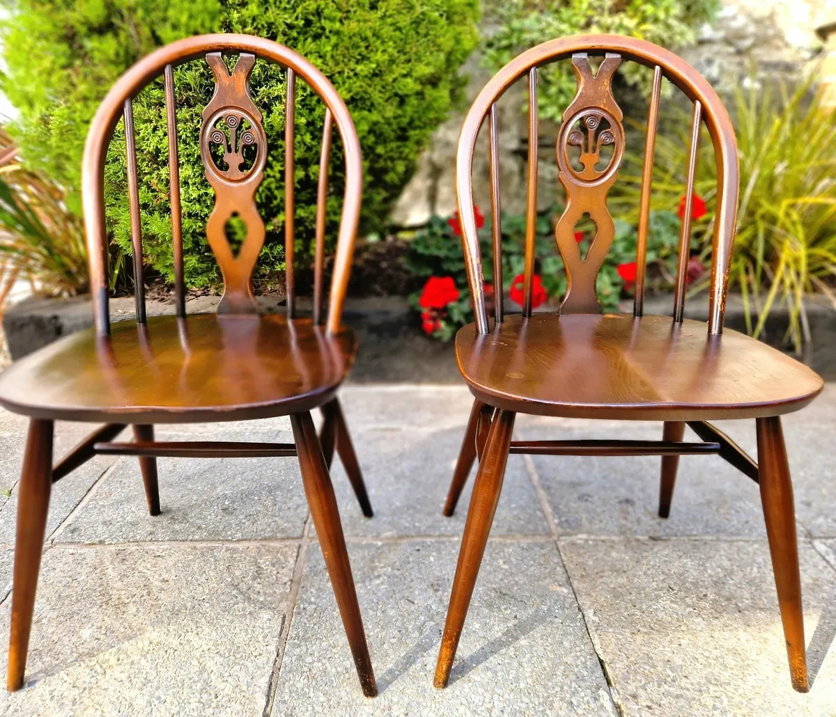 Ercol Chairs- 1970s - Image 1