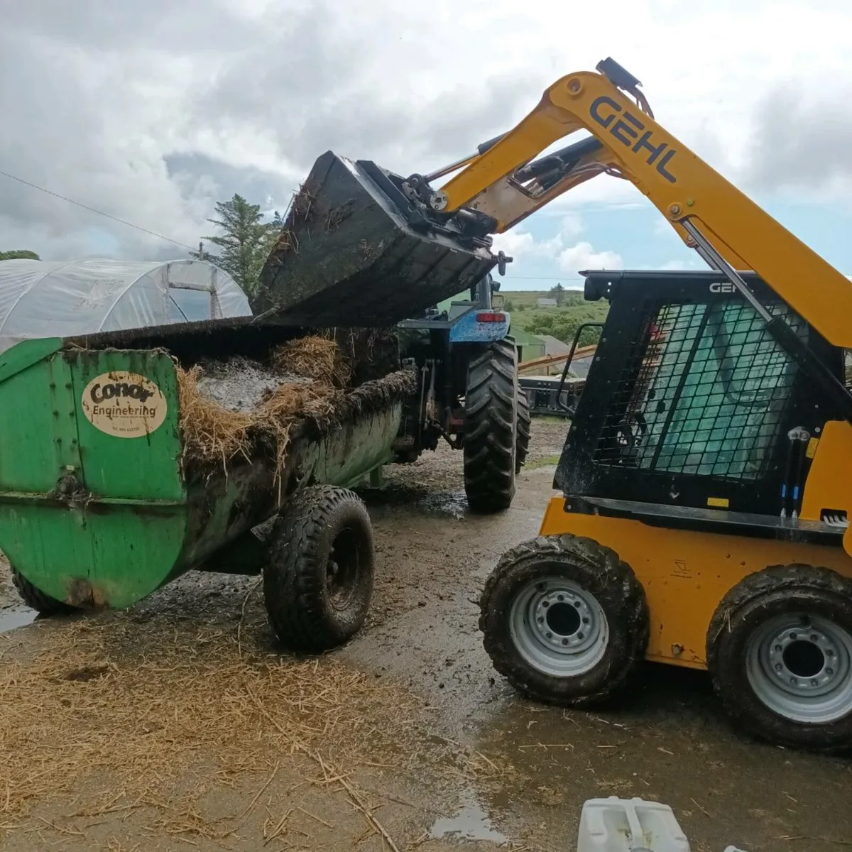 Skid steer for hire - Image 2