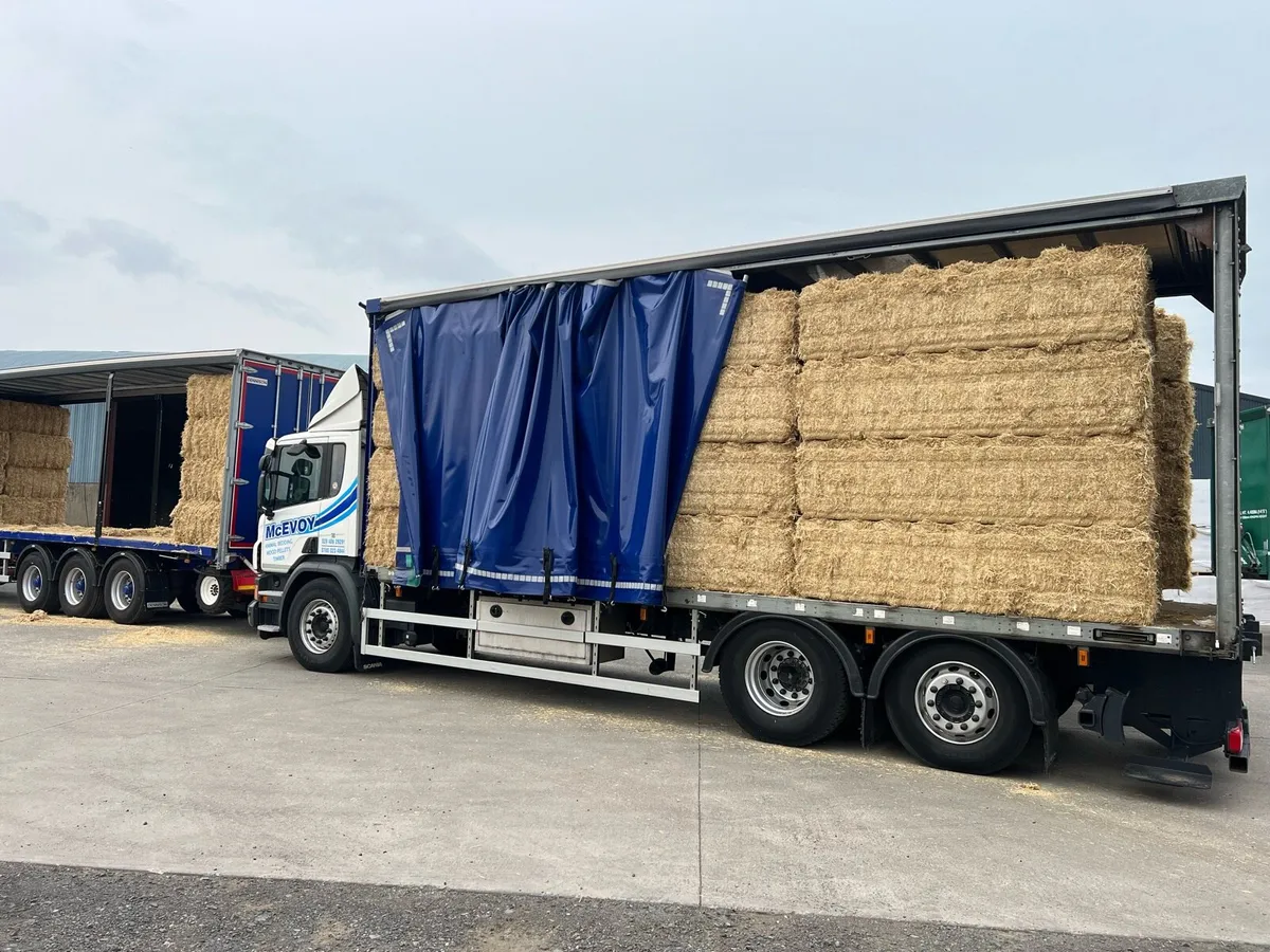 Best Quality Wheat Straw Chopped Delivered - Image 2