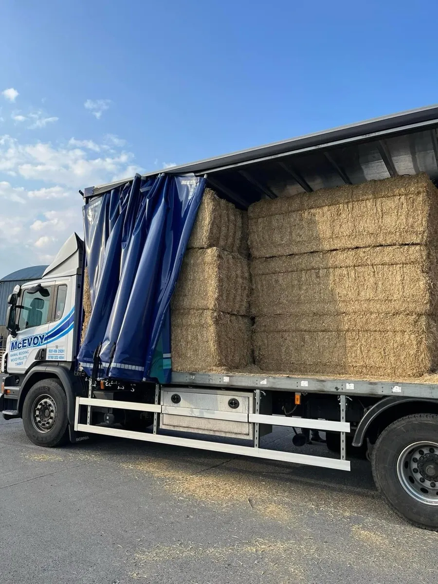 Best Quality Wheat Straw Chopped Delivered - Image 3