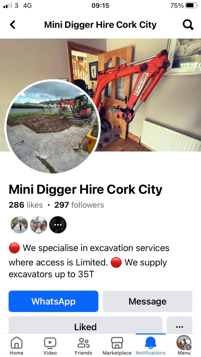 MINI DIGGER HIRE CORK CITY LANDSCAPING CORK for sale in Co. Cork for