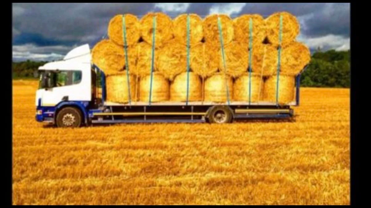 straw - Image 3