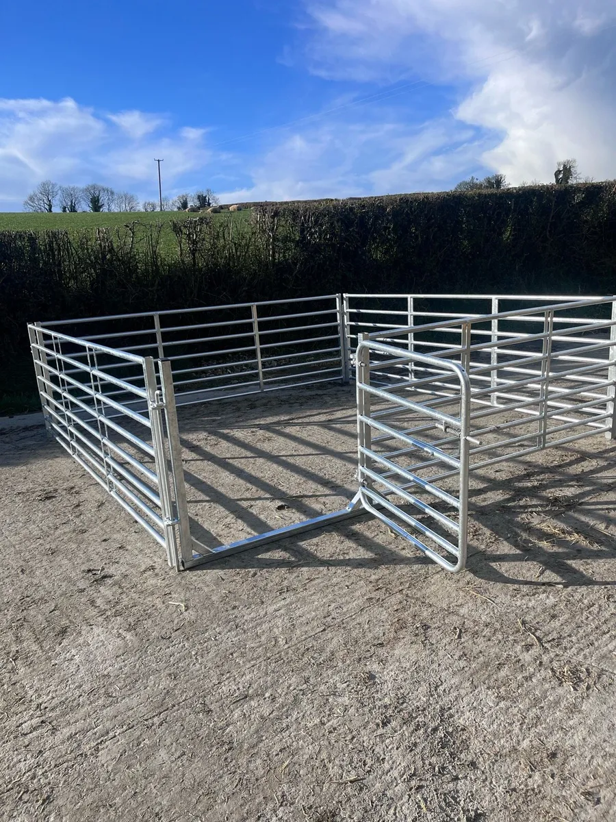 10ft heavy duty premium hurdles - Image 2