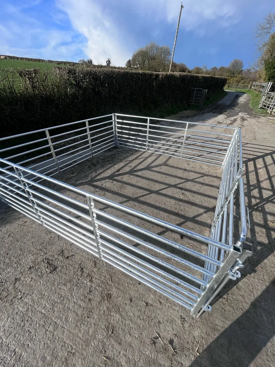 10ft heavy duty premium hurdles - Image 4