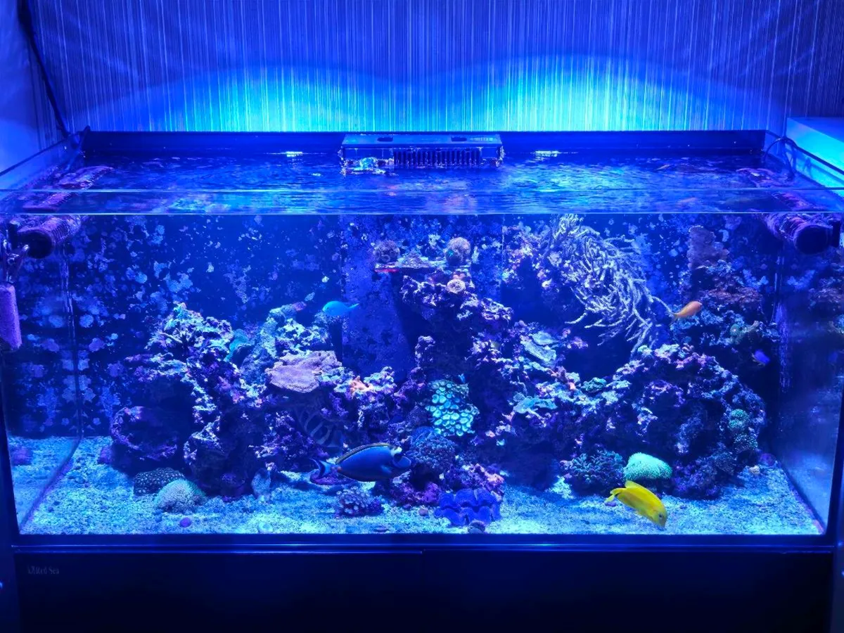 Marine Tank for sale in Co. Laois for 1 on DoneDeal