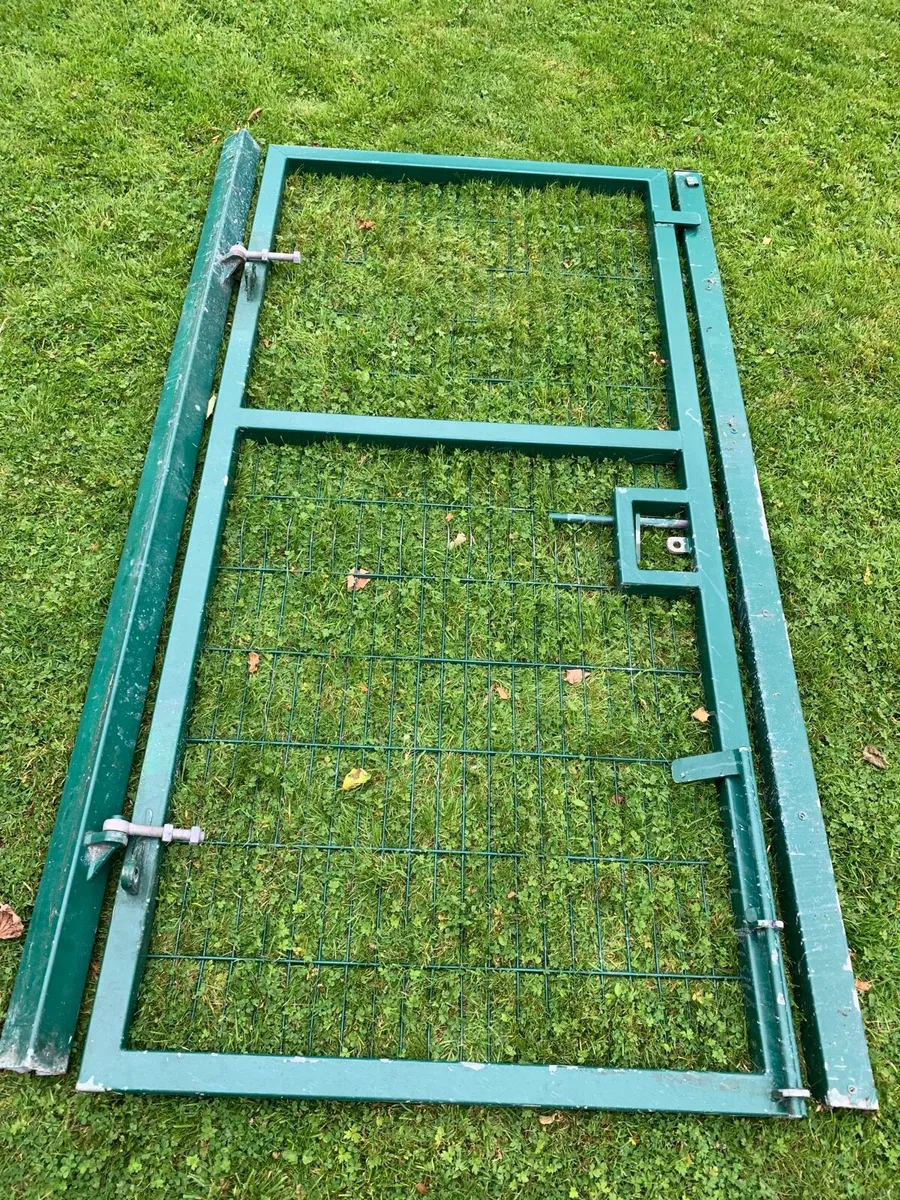 V-mesh pedestrian access gate
