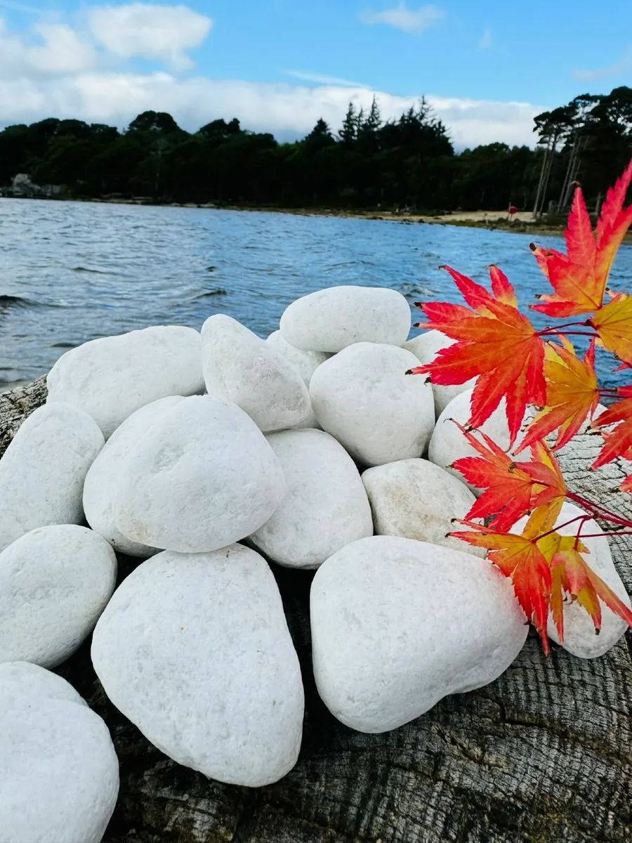 Decorative stone plum slate cobbles pebbles rocks - Image 3