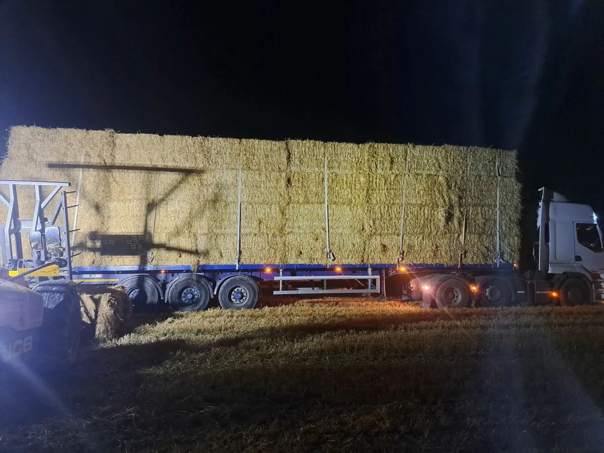For sale round bales of barley straw loads ready g - Image 4