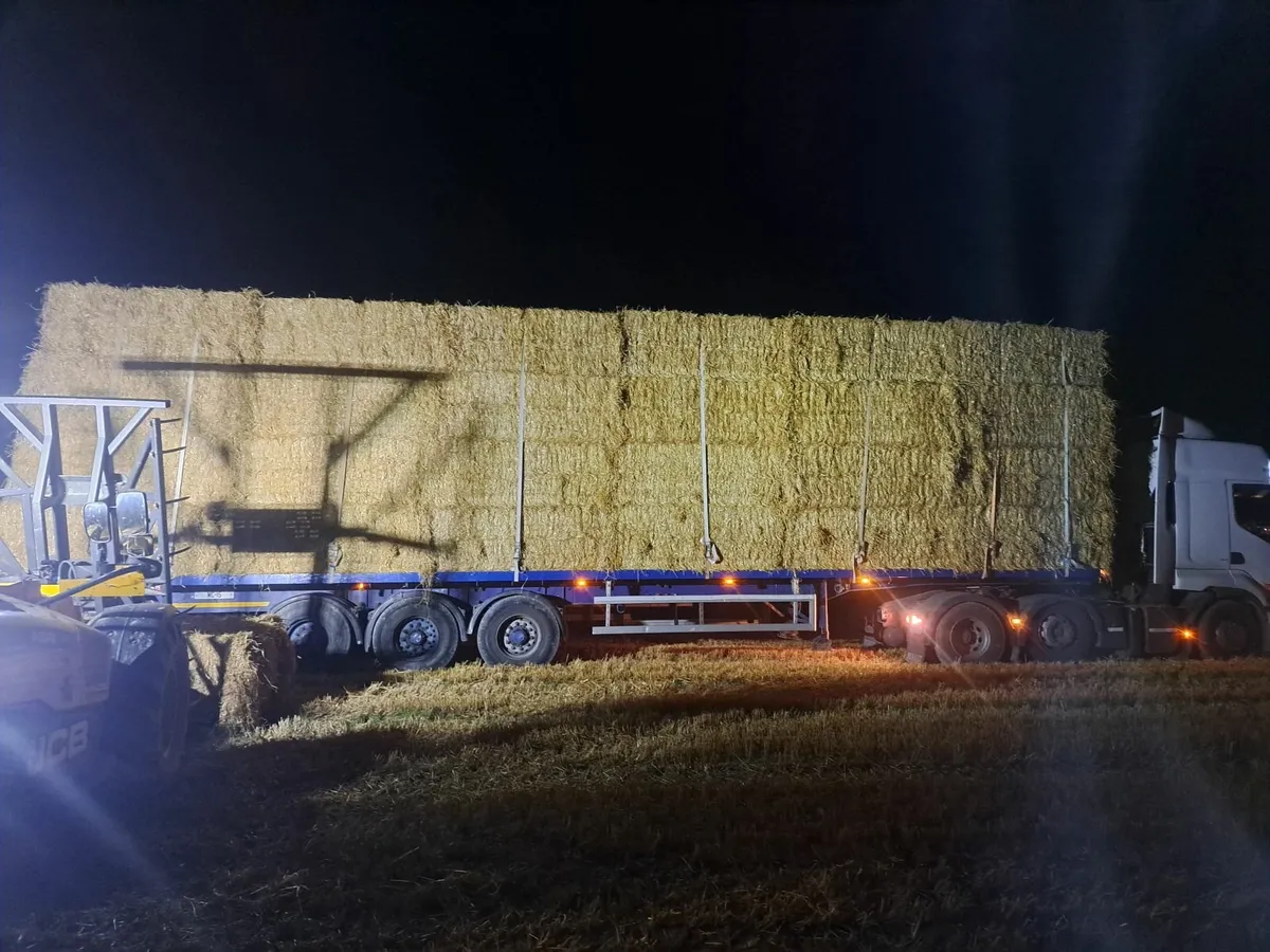 For sale round bales of barley straw loads ready g - Image 2