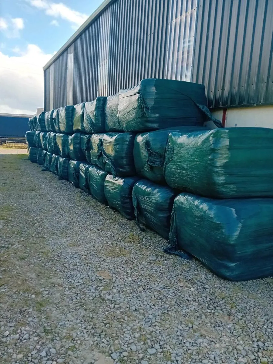 Haylage bales - Image 1
