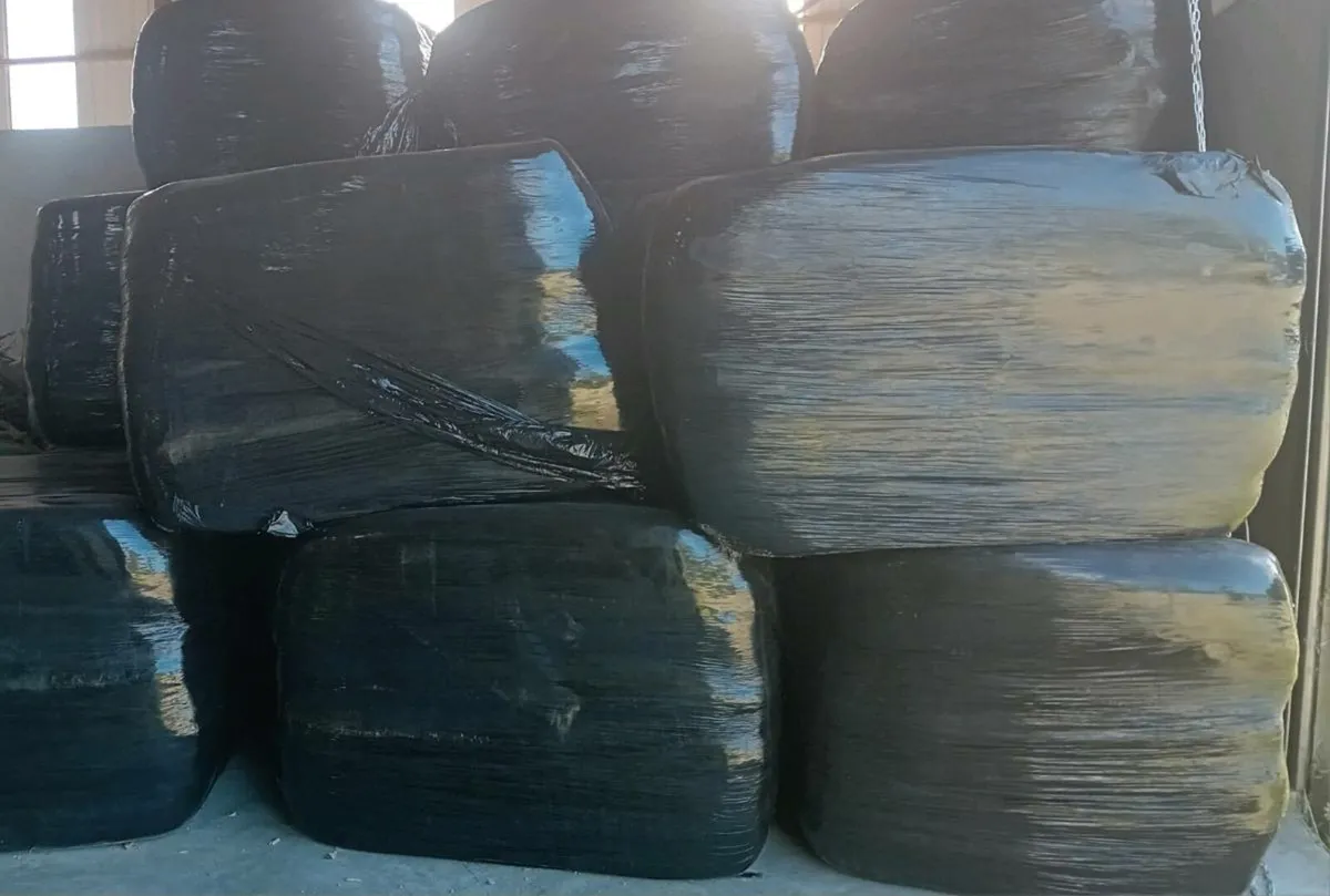 Haylage bales - Image 2