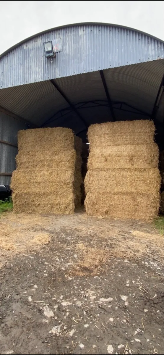 Straw - Image 1